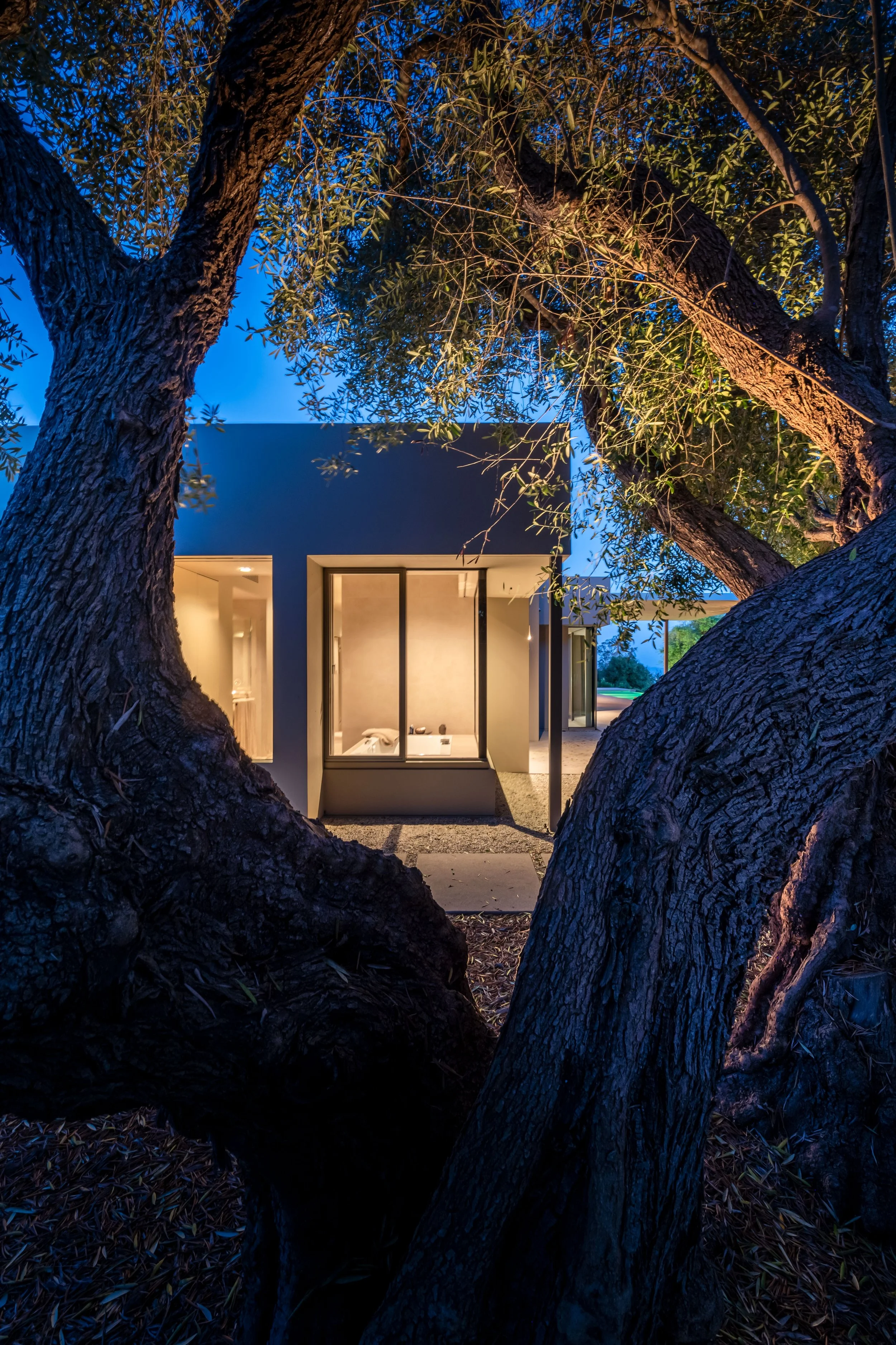 Framed view of a modern architectural home at Toro Canyon Residence by The Warner Group Architects, Inc., captured through the branches of an ancient tree, blending nature with sleek contemporary design.