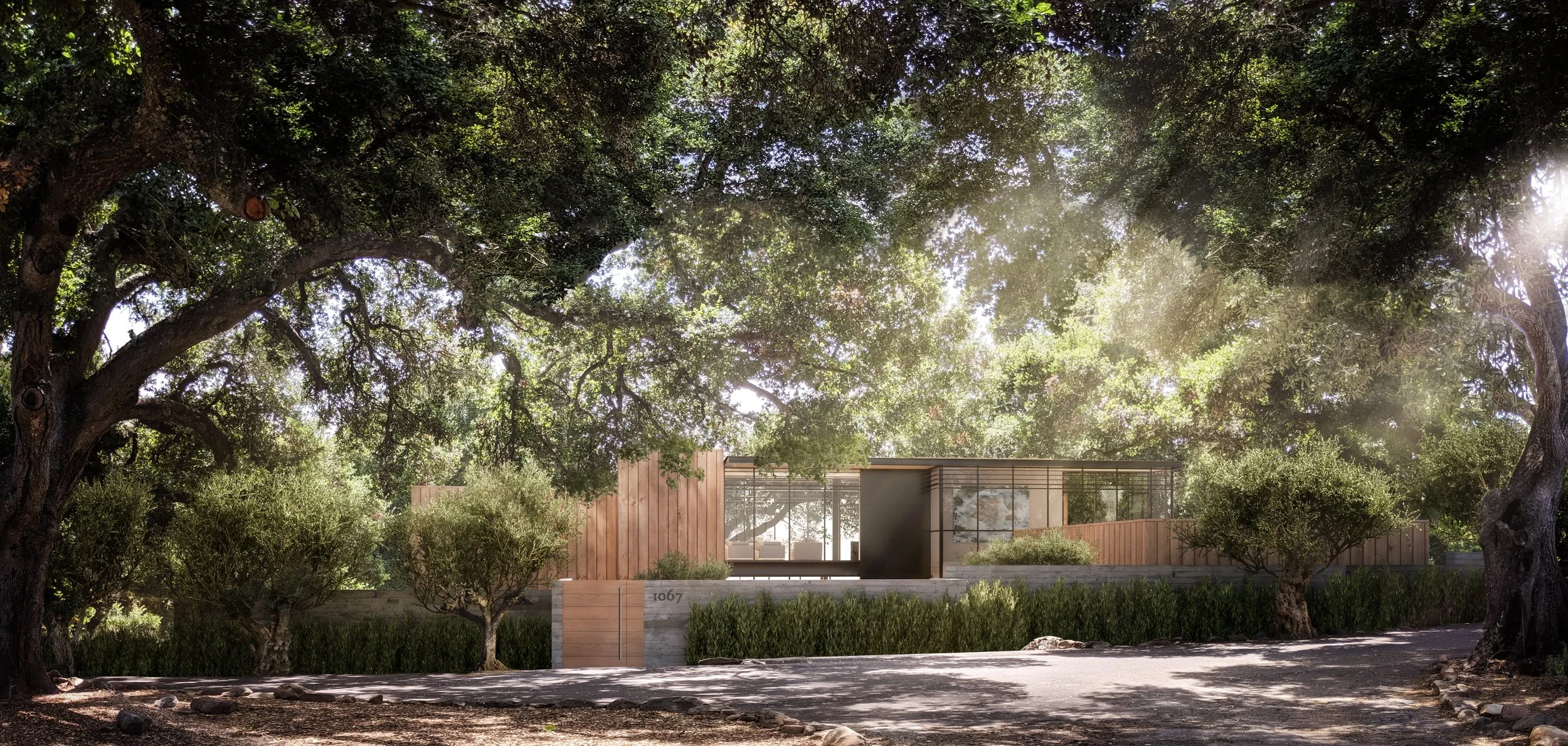 Modern glass and wood residence surrounded by oak trees.