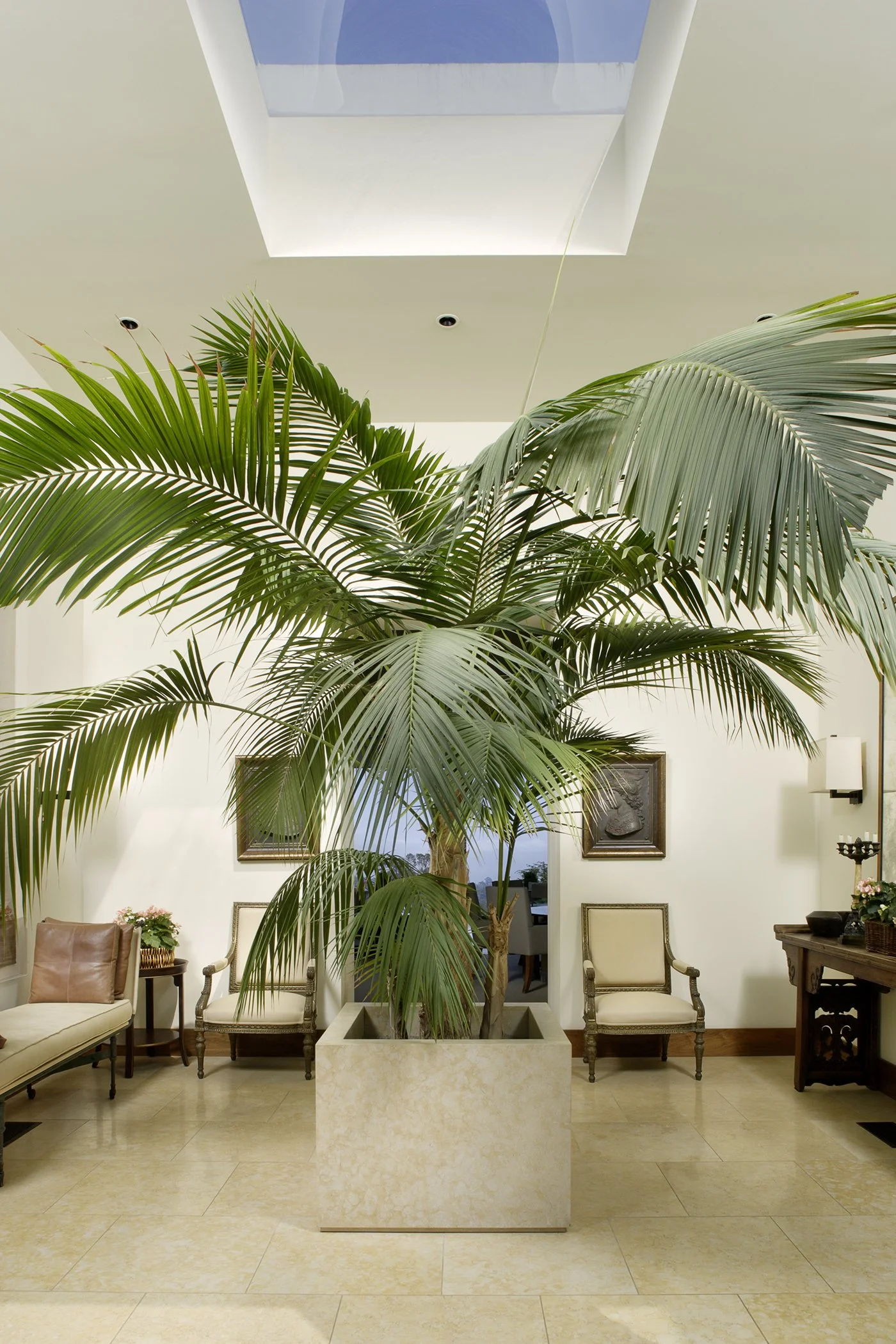 Lush greenery frames the sophisticated architectural design of the Pepper Hill Residence, blending natural beauty with modern luxury.